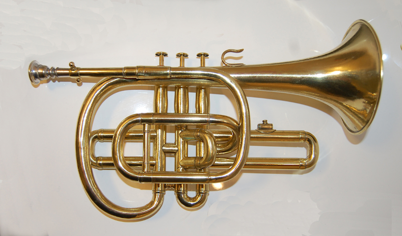 Unique store brass instruments